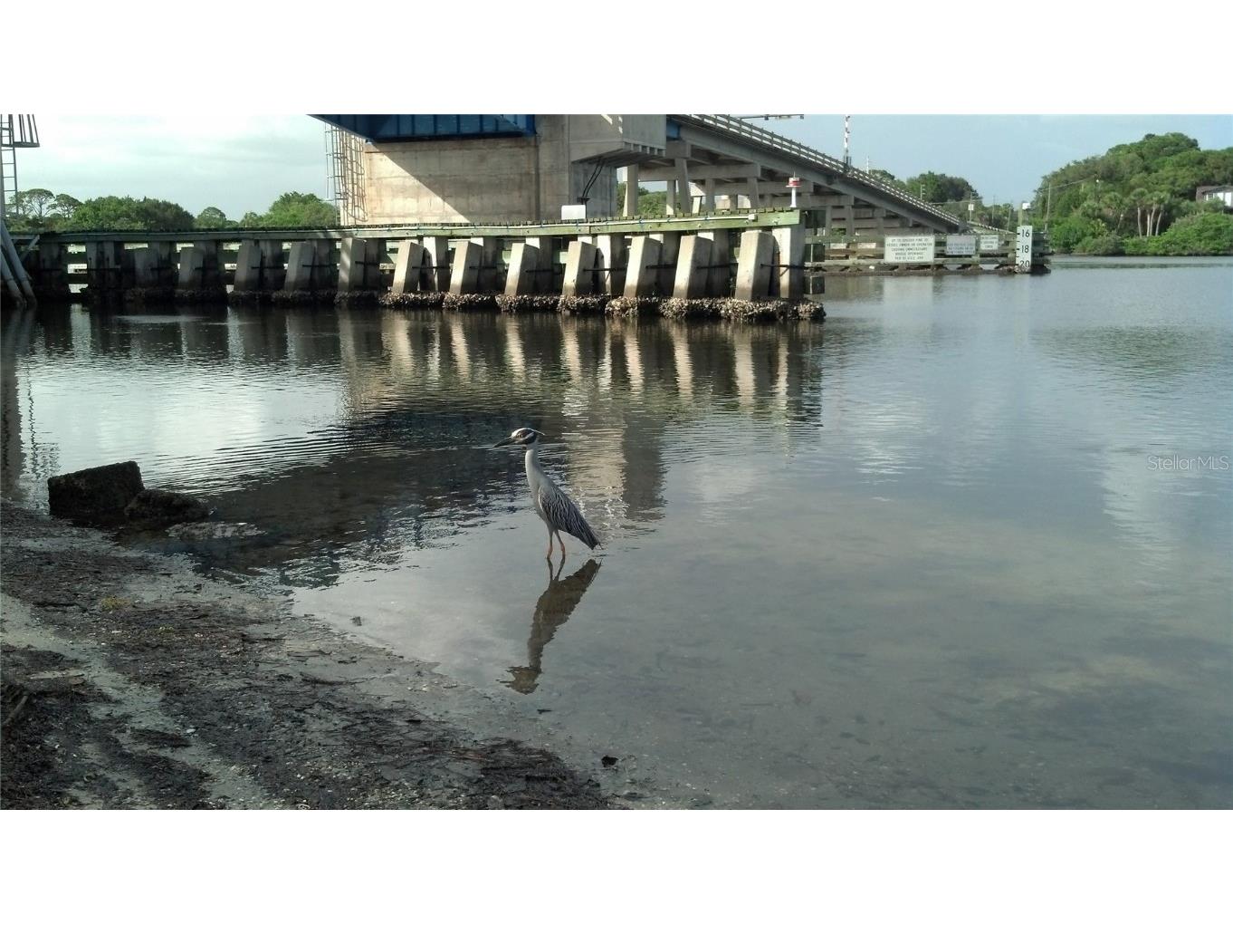 610 Apple Lane Englewood FL 34223 D6143954 image94