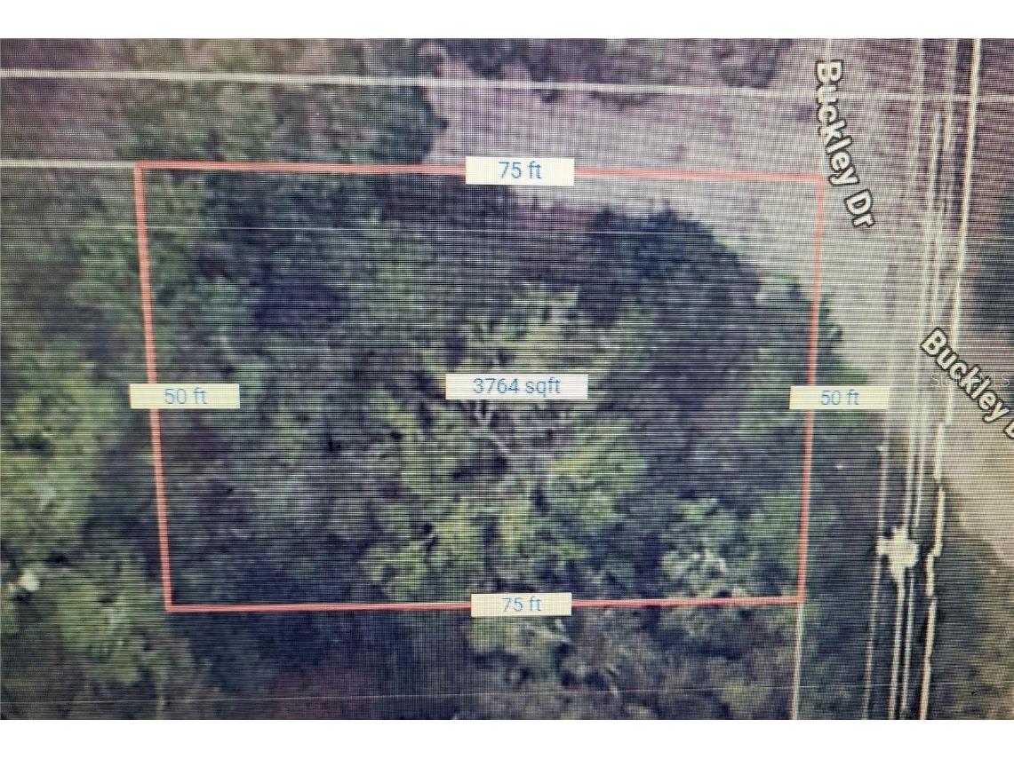 610 Buckley Drive Kissimmee FL 34741 S5120472 image3