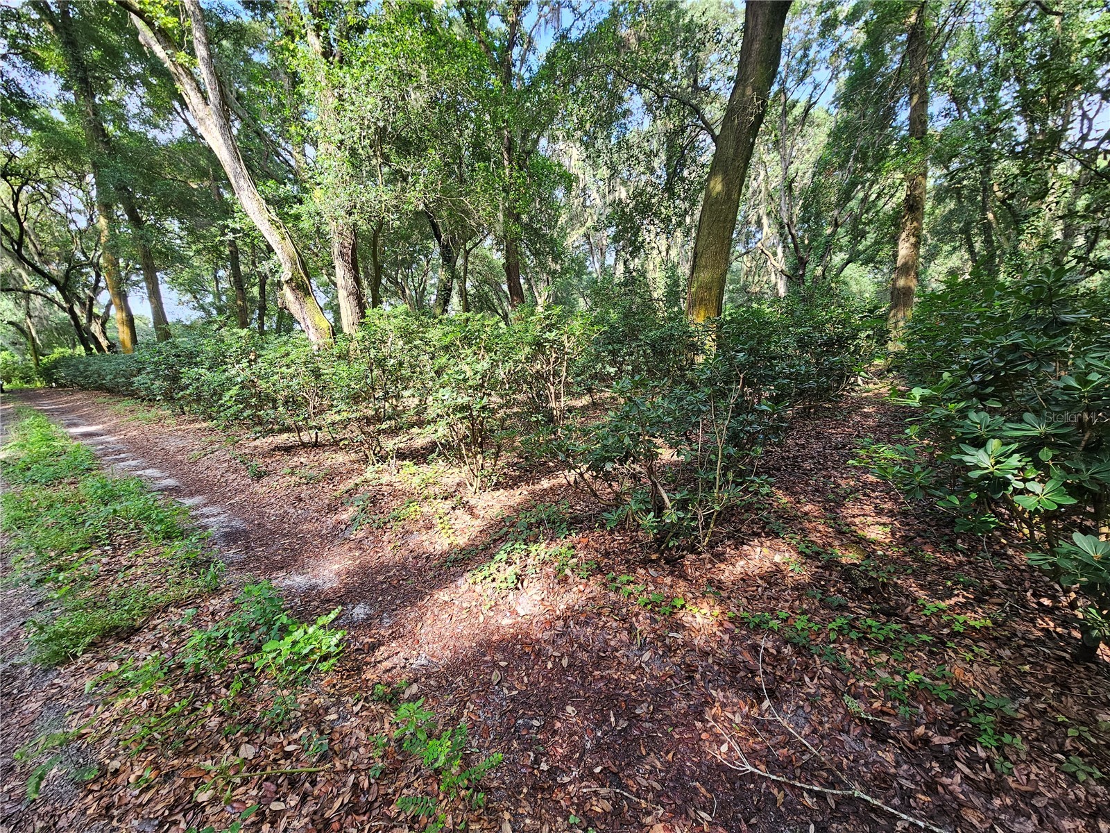 610 Burnsed Road Pierson FL 32180 R4911368 image10