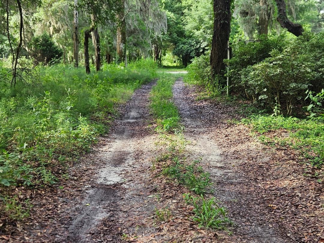 610 Burnsed Road Pierson FL 32180 R4911368 image11