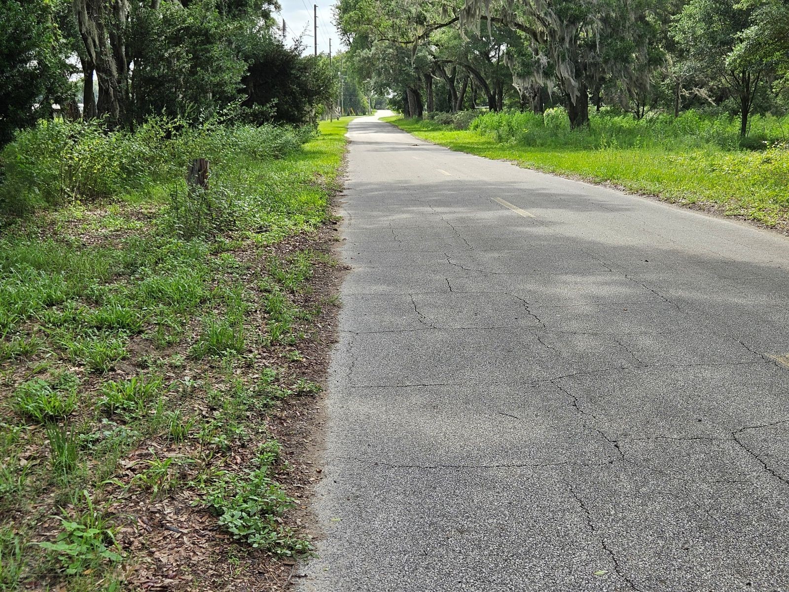 610 Burnsed Road Pierson FL 32180 R4911368 image13