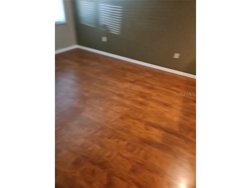 610 Green Valley Road #H6 Palm Harbor FL 34683 TB8419013 image6