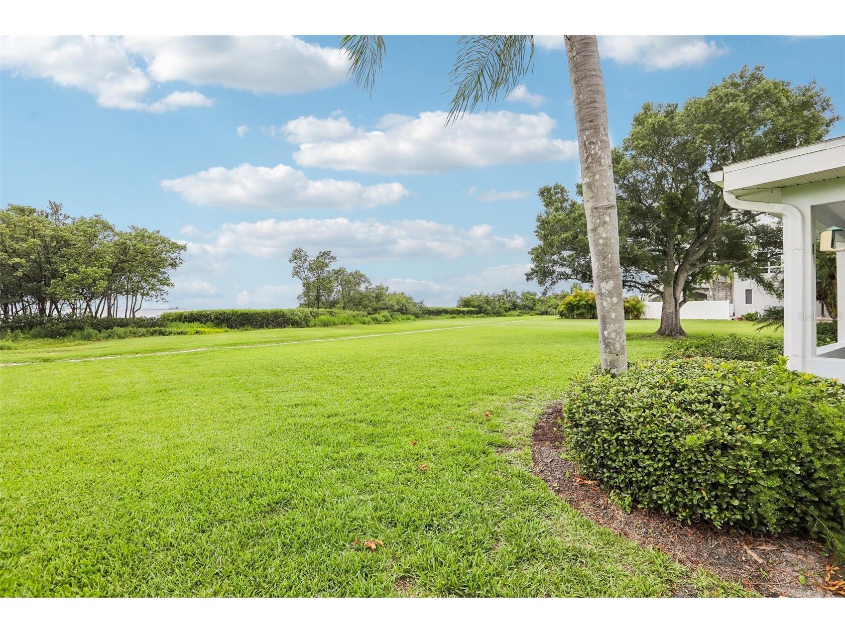 610 Indiana Avenue Crystal Beach FL 34681 TB8516703 image10
