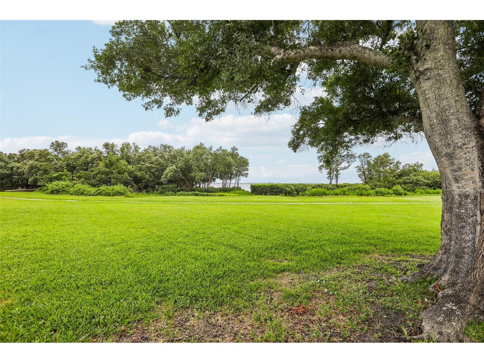 610 Indiana Avenue Crystal Beach FL 34681 TB8516703 image28