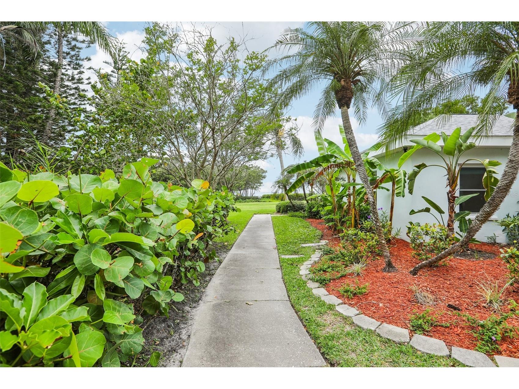 610 Indiana Avenue Crystal Beach FL 34681 TB8516703 image36