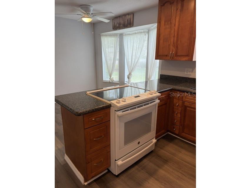 610 Kirkland Circle Dunedin FL 34698 TB8507710 image22