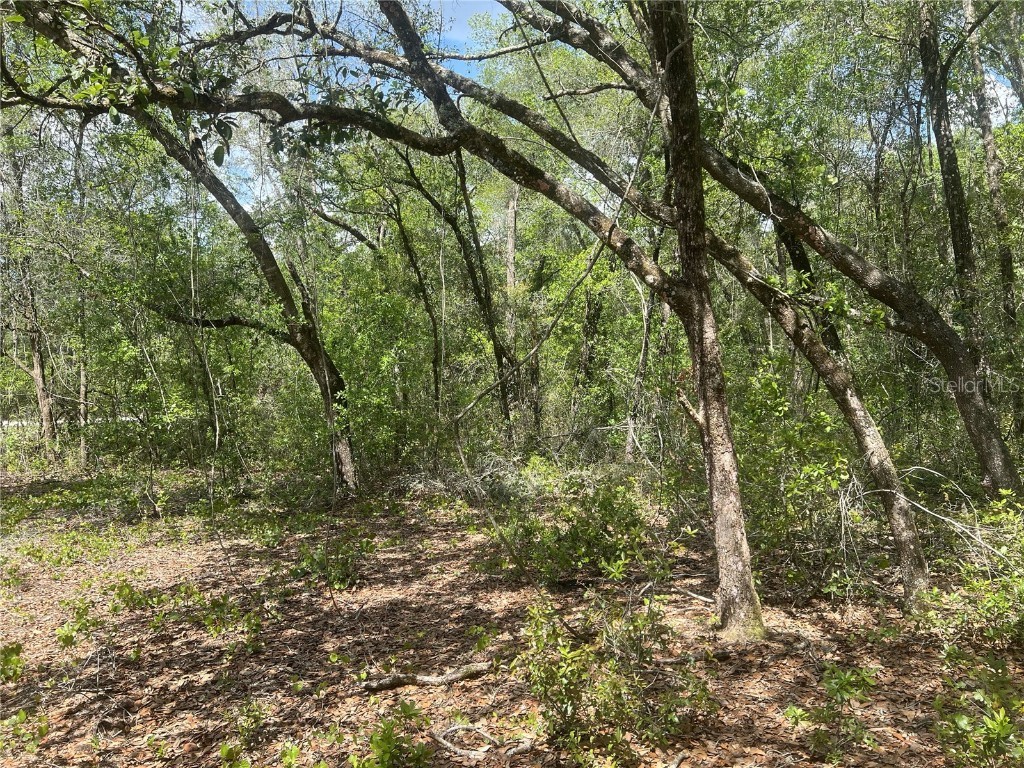 610 Longwood Avenue Inverness FL 34453 O6171691 image1