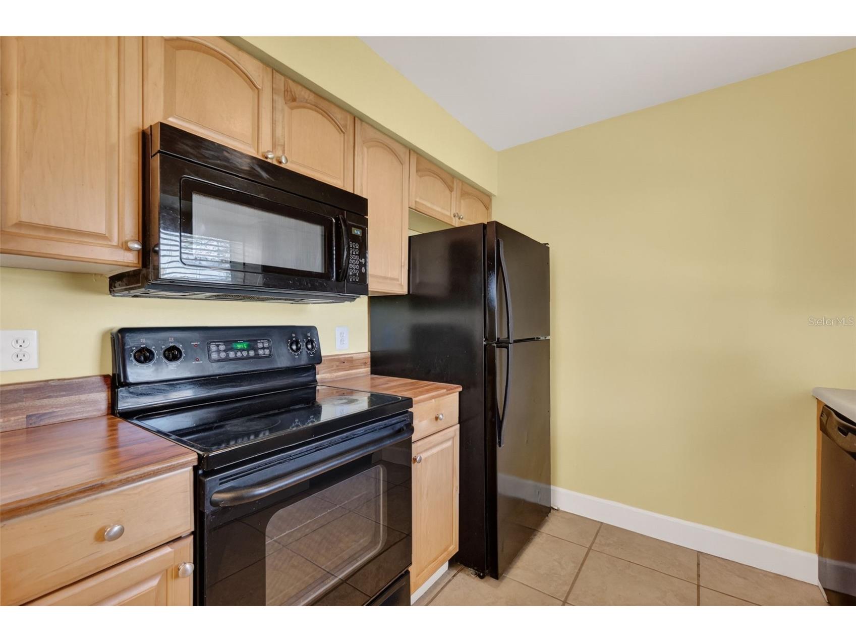 610 Palmetto Drive Mascotte FL 34753 G5111638 image12