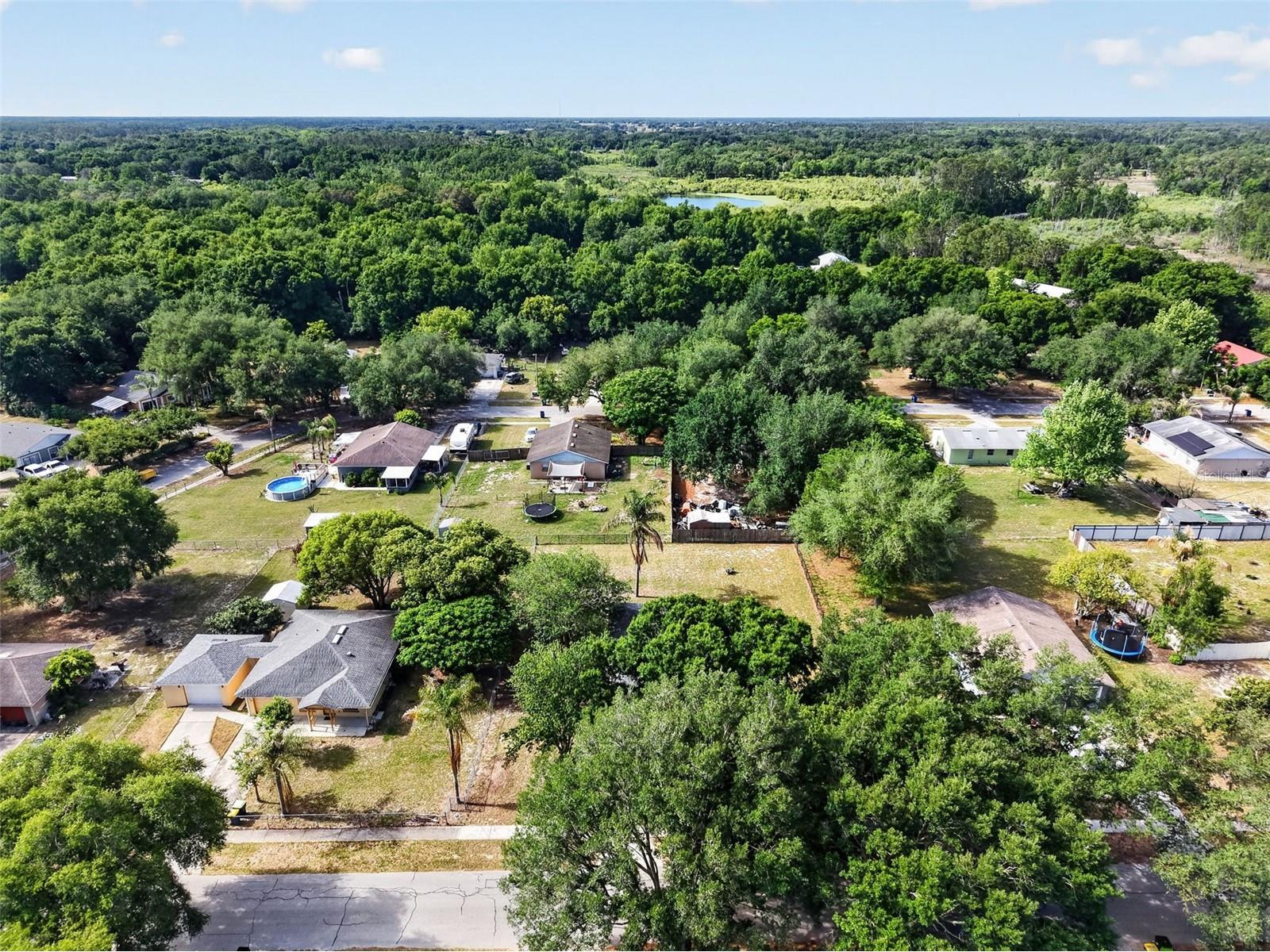 610 Palmetto Drive Mascotte FL 34753 G5111638 image34