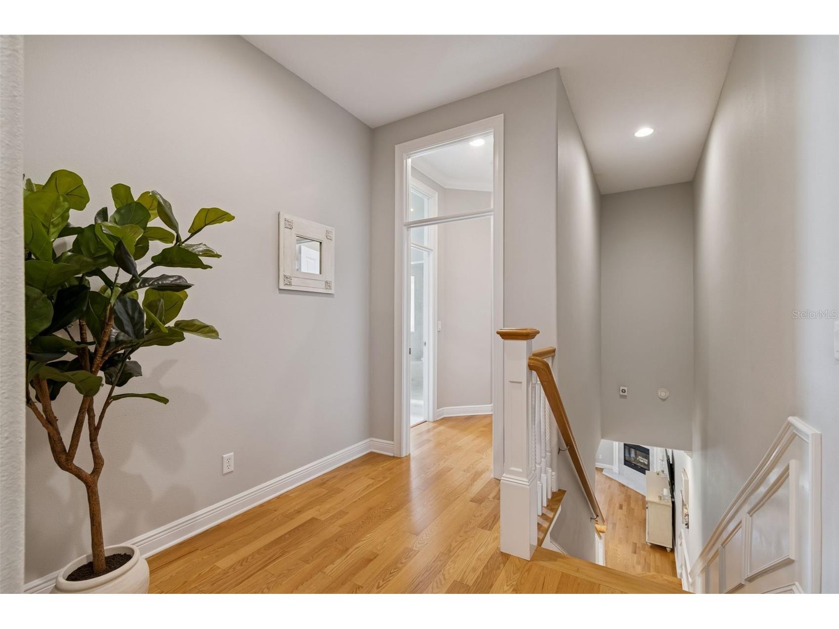 610 Saxony Boulevard Saint Petersburg FL 33716 TB8479483 image22