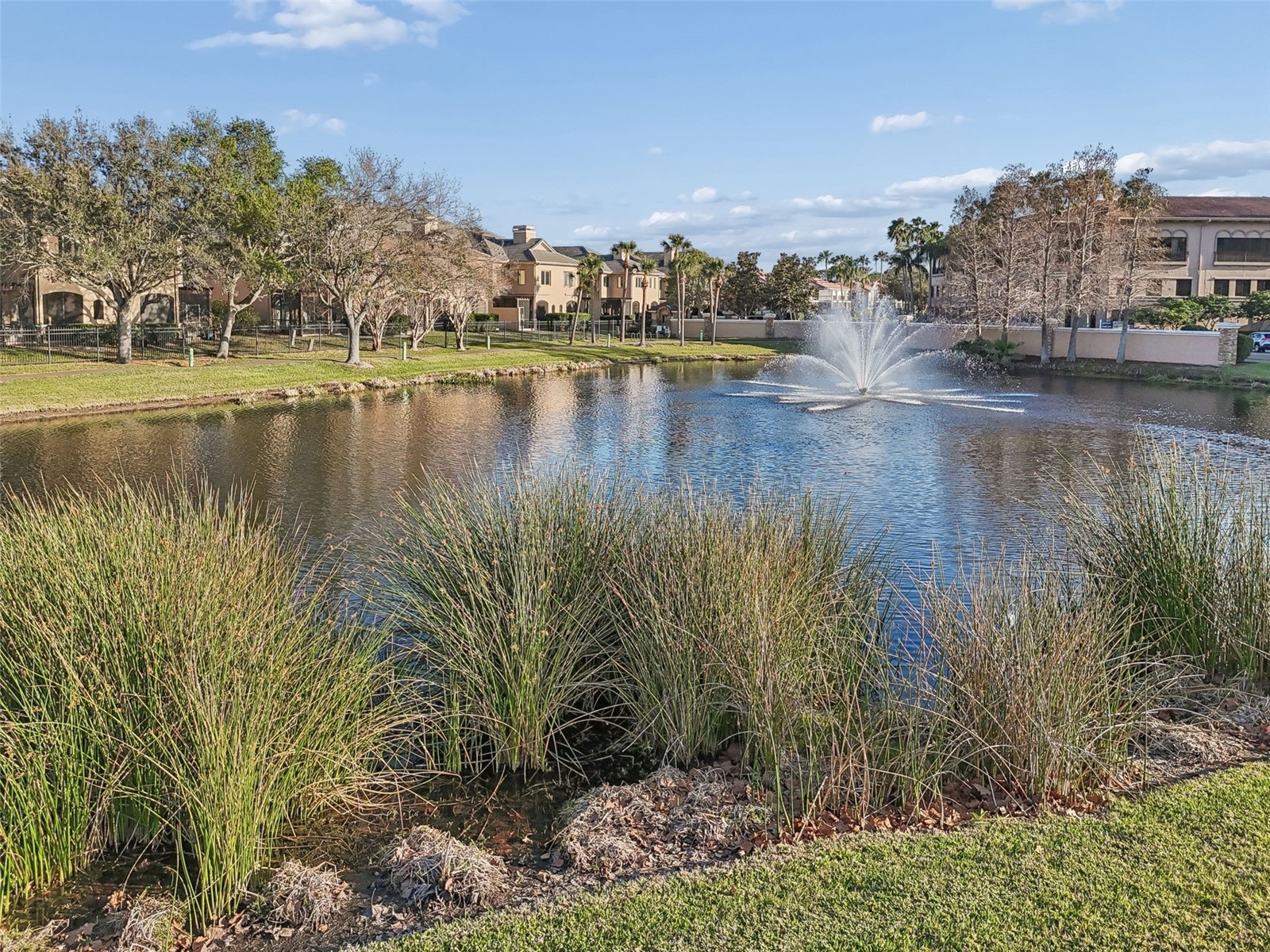 610 Saxony Boulevard Saint Petersburg FL 33716 TB8479483 image72