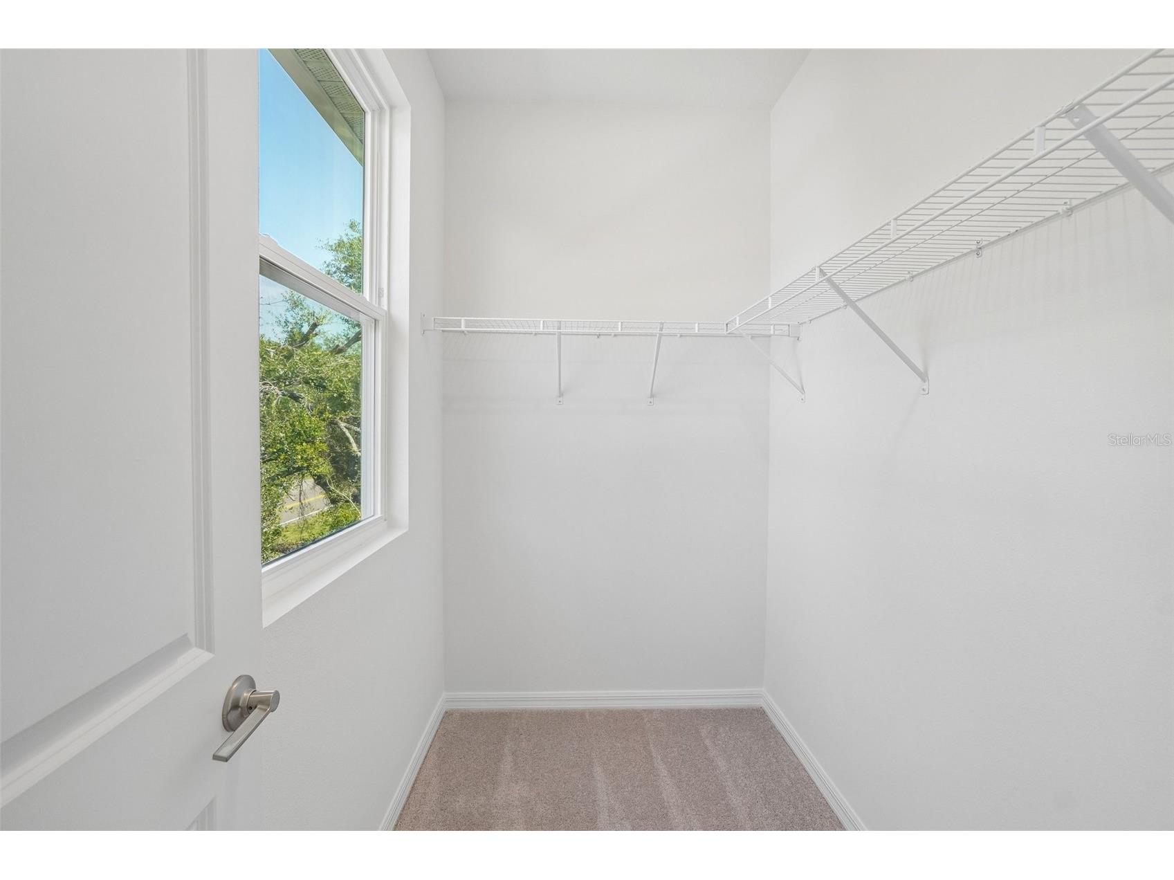 610 Silver Stream Court Brandon FL 33511 TB8499323 image25