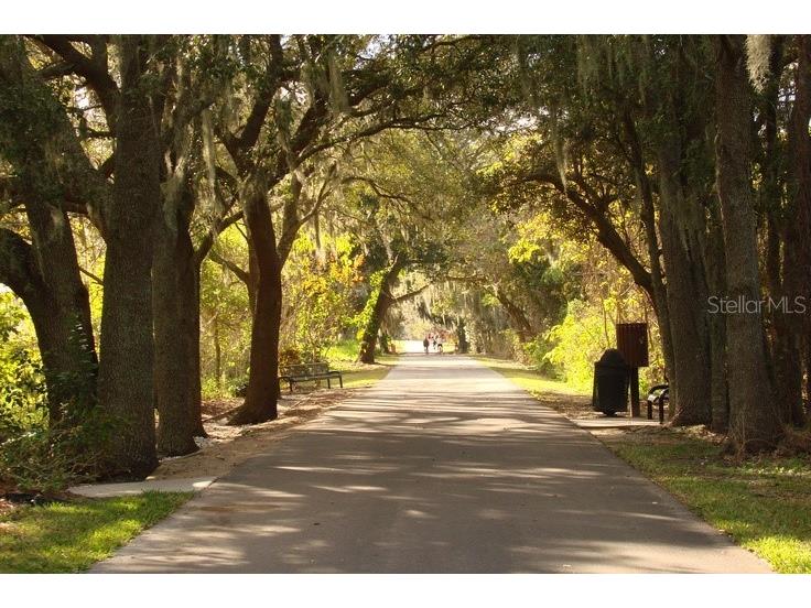 610 Simeon Road Oakland FL 34787 O6338430 image9