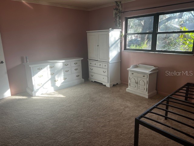610 Valle Vista Drive Brandon FL 33511 A4676148 image8