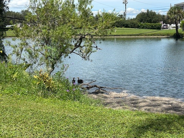 6100 21st Street N #15 Saint Petersburg FL 33714 TB8424775 image6