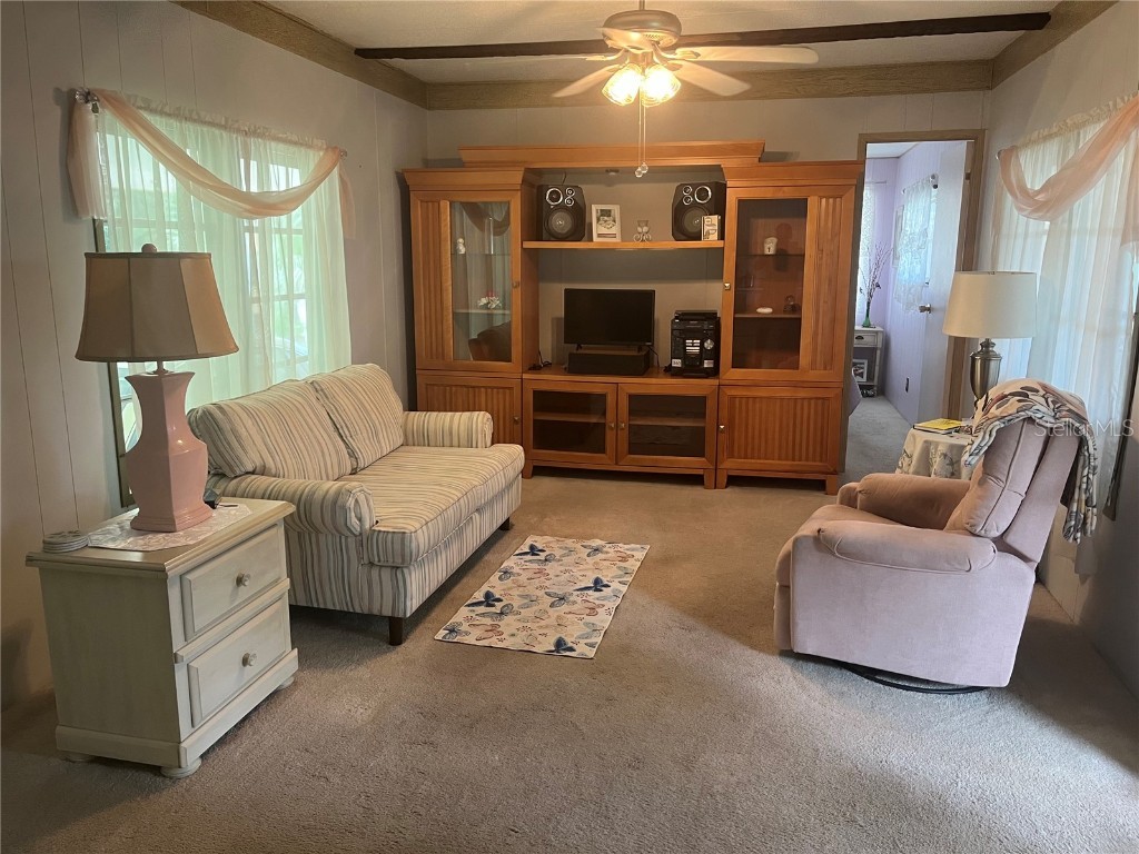 6100 62nd Avenue N #62 Pinellas Park FL 33781 TB8334201 image4