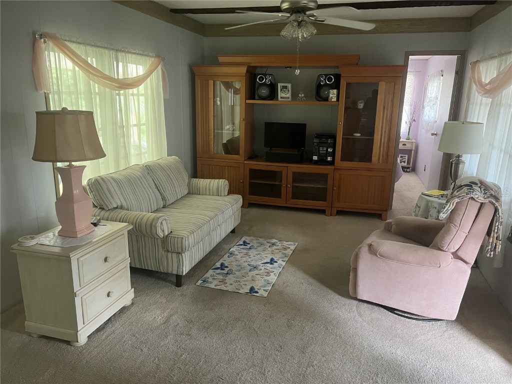 6100 62nd Avenue N #62 Pinellas Park FL 33781 TB8334201 image5