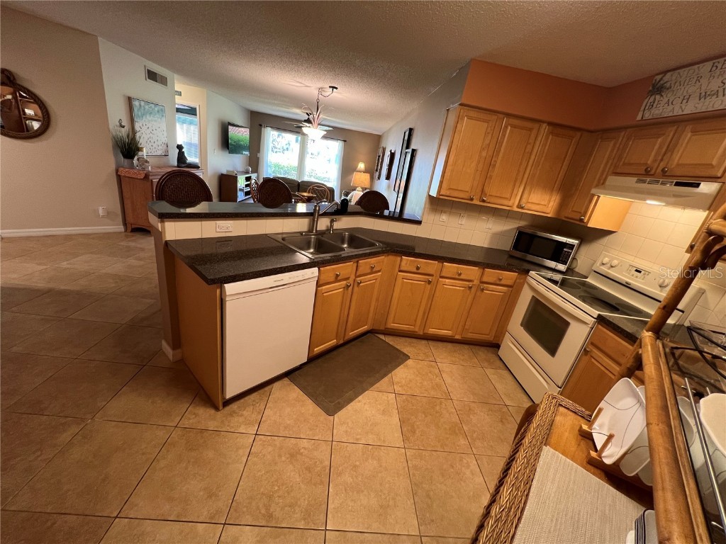 6100 Bahia Del Mar Circle #107 Saint Petersburg FL 33715 TB8389936 image6