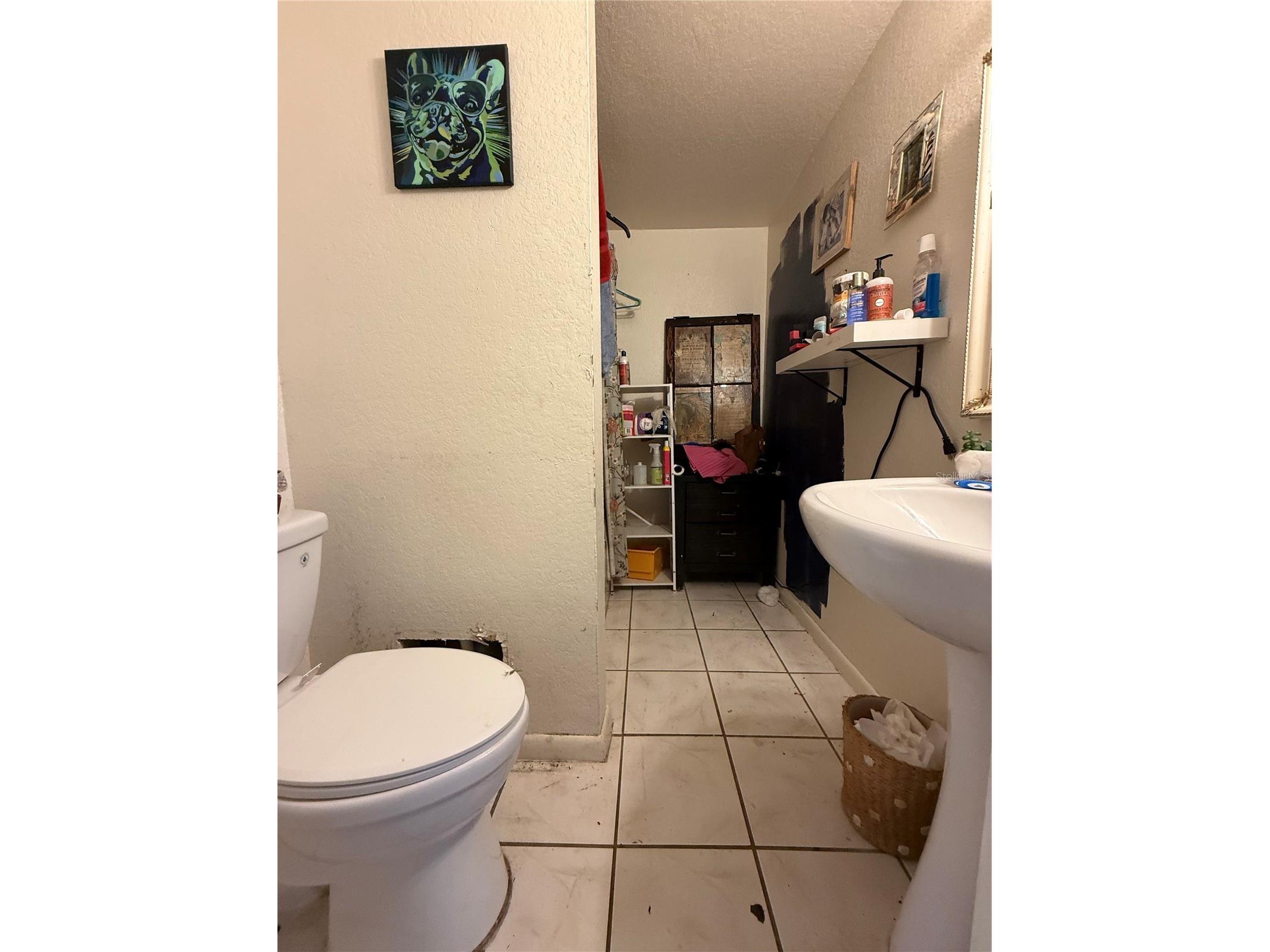 6100 Main Street #A New Port Richey FL 34653 W7882616 image19