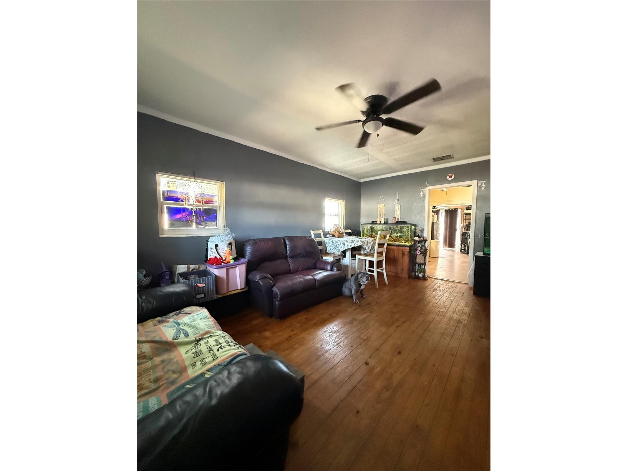 6100 Main Street #A New Port Richey FL 34653 W7882616 image3