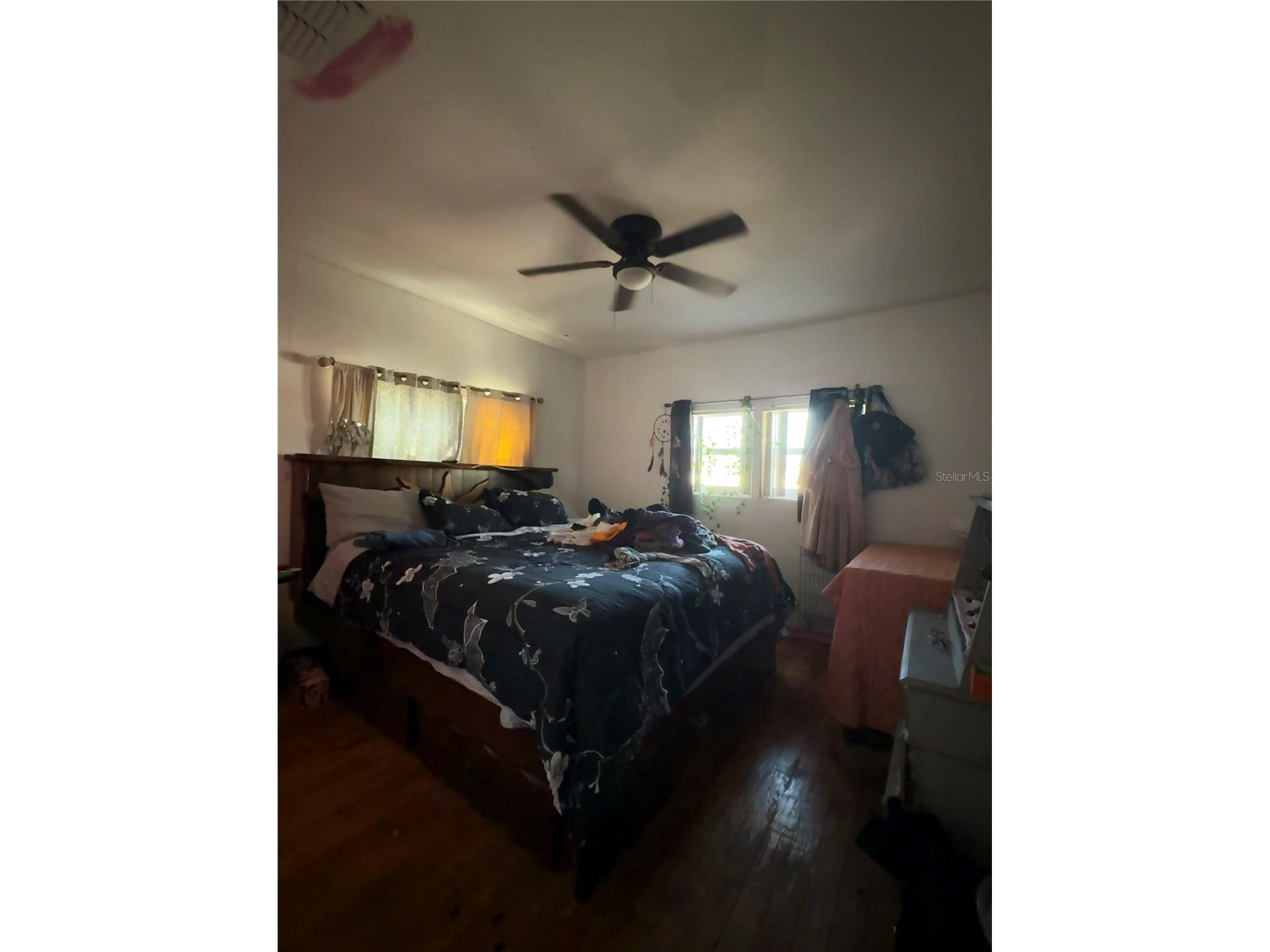 6100 Main Street #A New Port Richey FL 34653 W7882616 image7