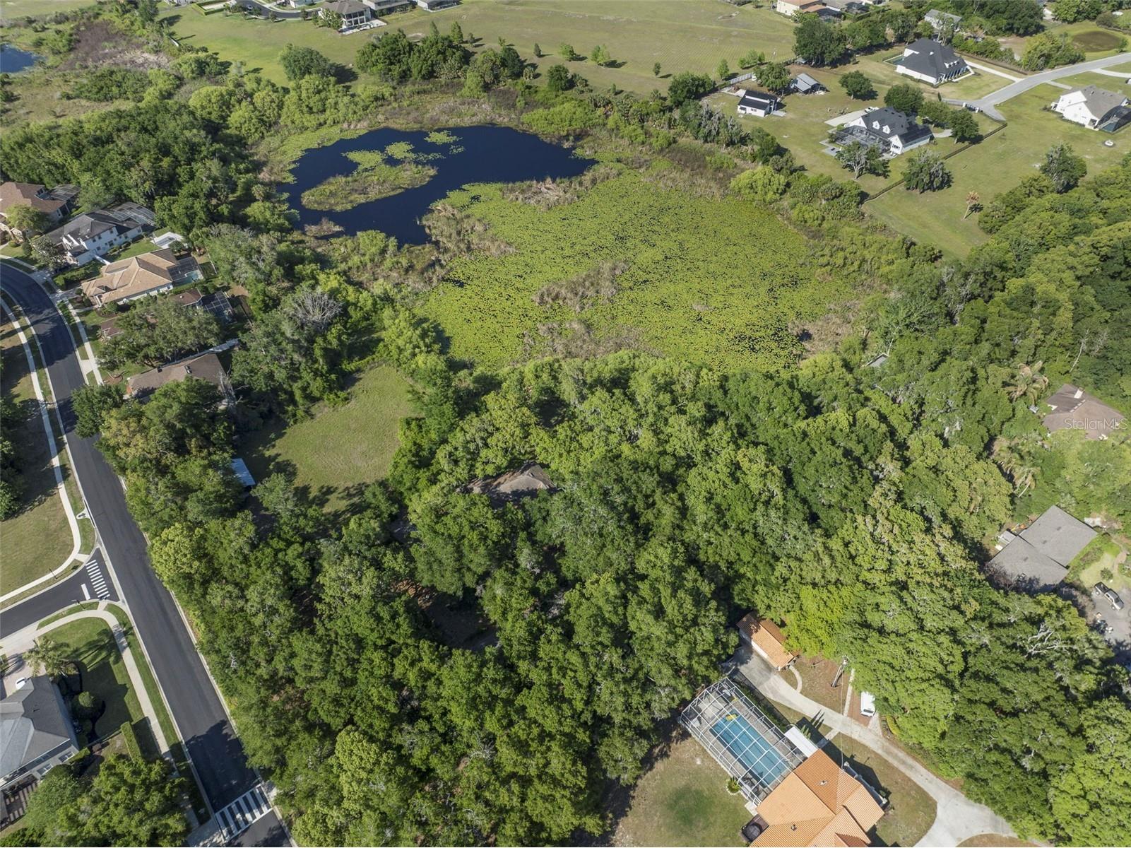 6100 Markham Road Sanford FL 32771 - Pearl Lake O6400841 image3