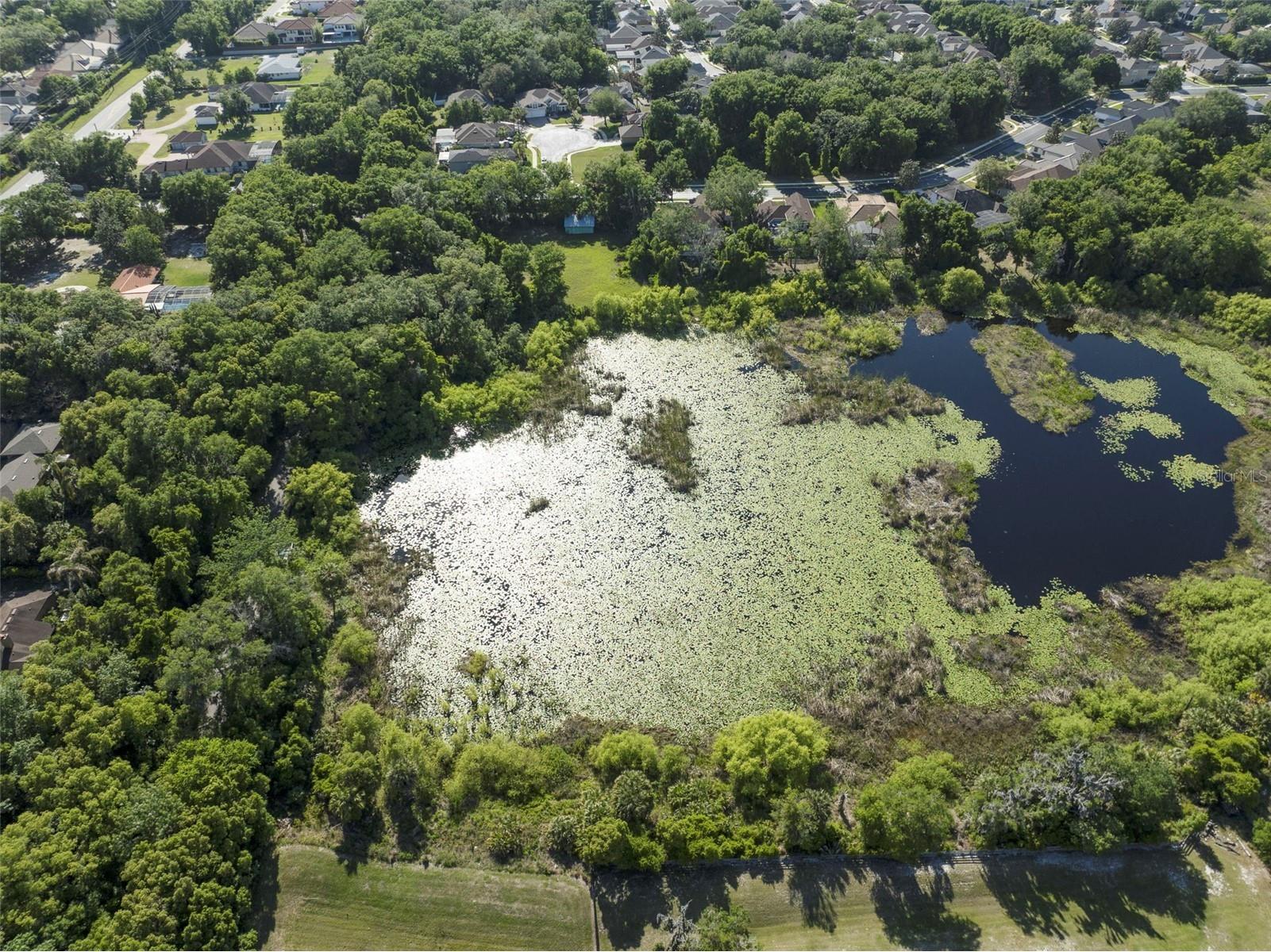 6100 Markham Road Sanford FL 32771 - Pearl Lake O6400841 image4