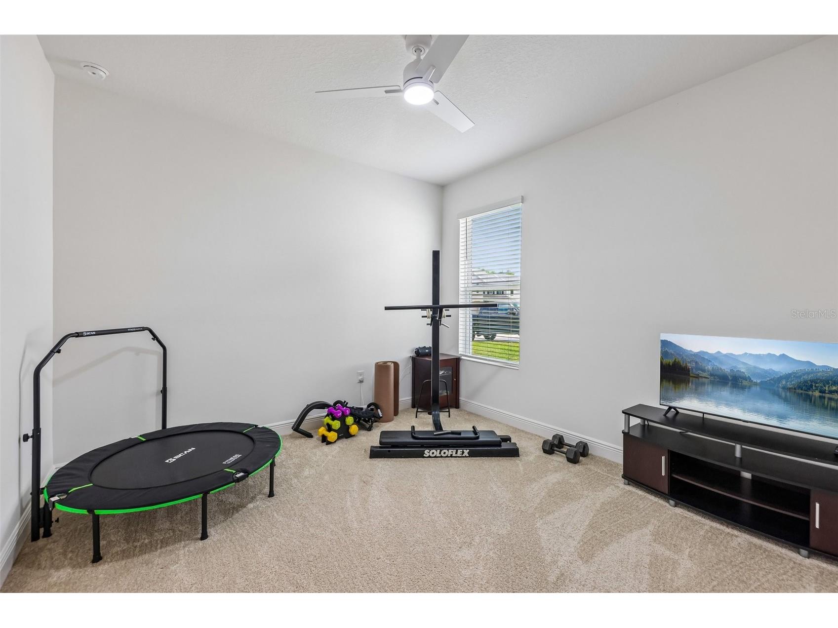 6100 Sierra Crown Street Mount Dora FL 32757 O6402676 image24