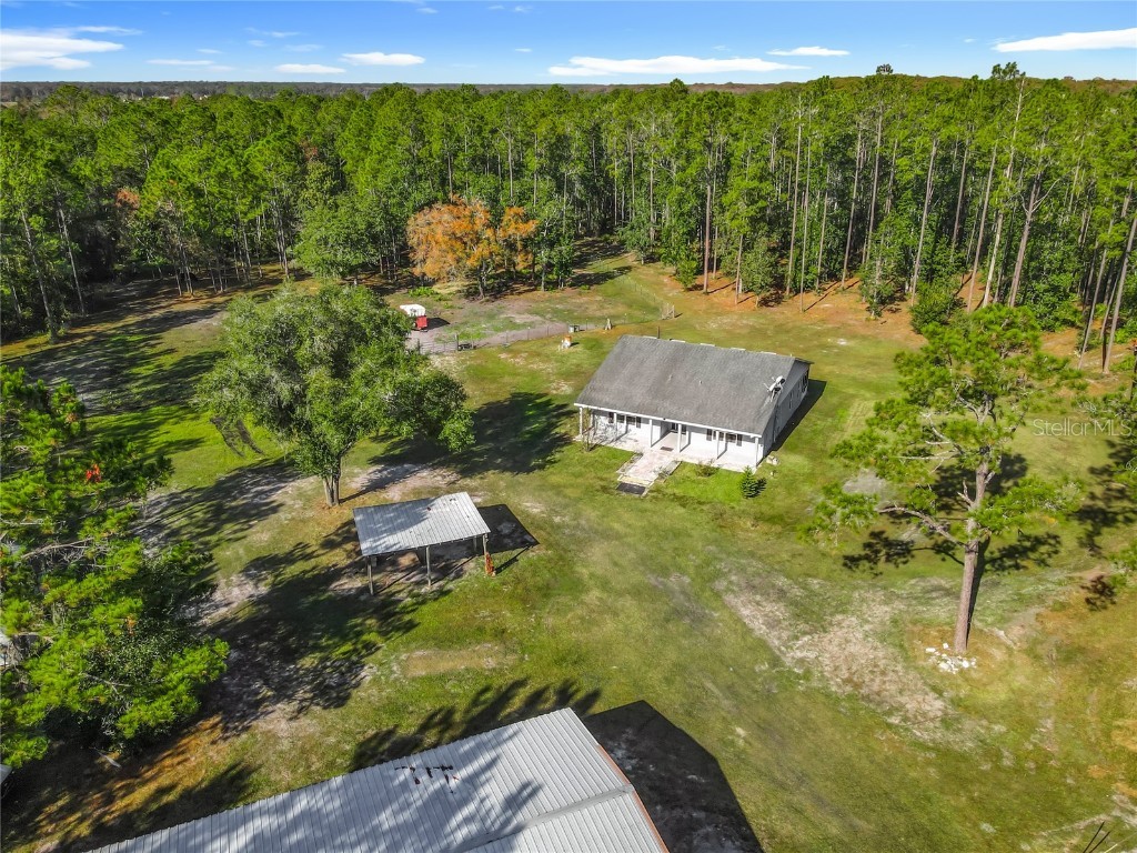 6100 Winning Wood Trail De Leon Springs FL 32130 O6363085 image4