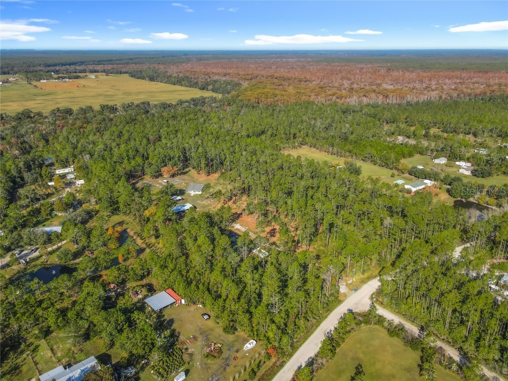 6100 Winning Wood Trail De Leon Springs FL 32130 O6363085 image51