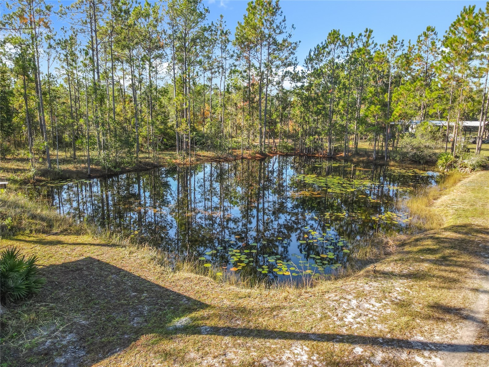 6100 Winning Wood Trail De Leon Springs FL 32130 O6416711 image35