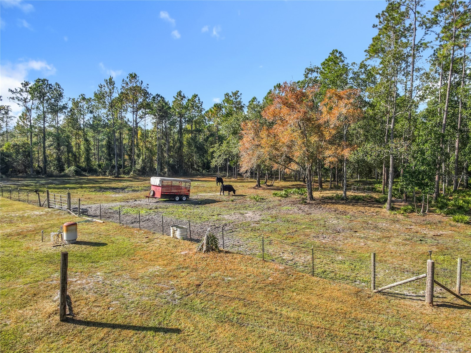 6100 Winning Wood Trail De Leon Springs FL 32130 O6416711 image37