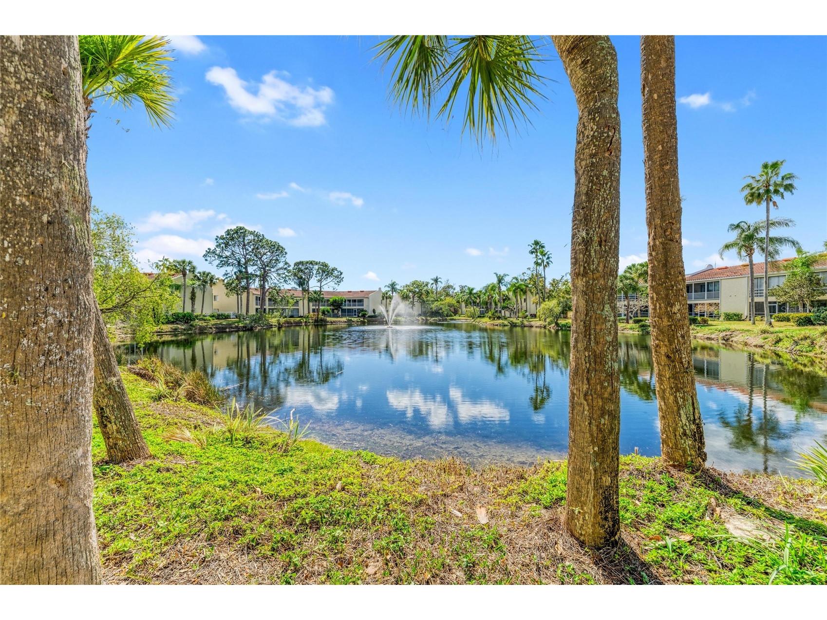 6101 34th Street W #11G Bradenton FL 34210 A4684403 image28