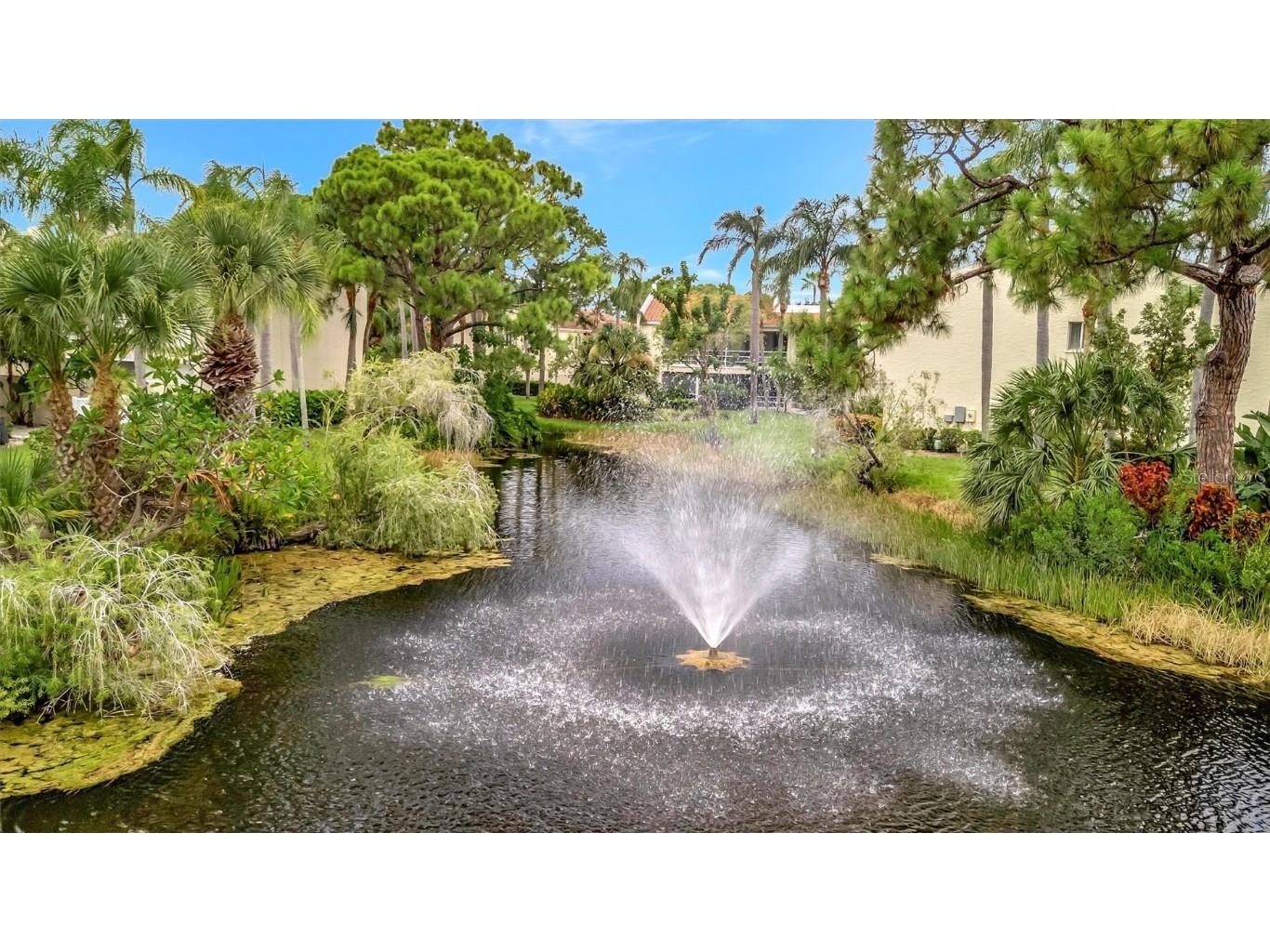 6101 34th Street W #24C Bradenton FL 34210 A4659023 image43