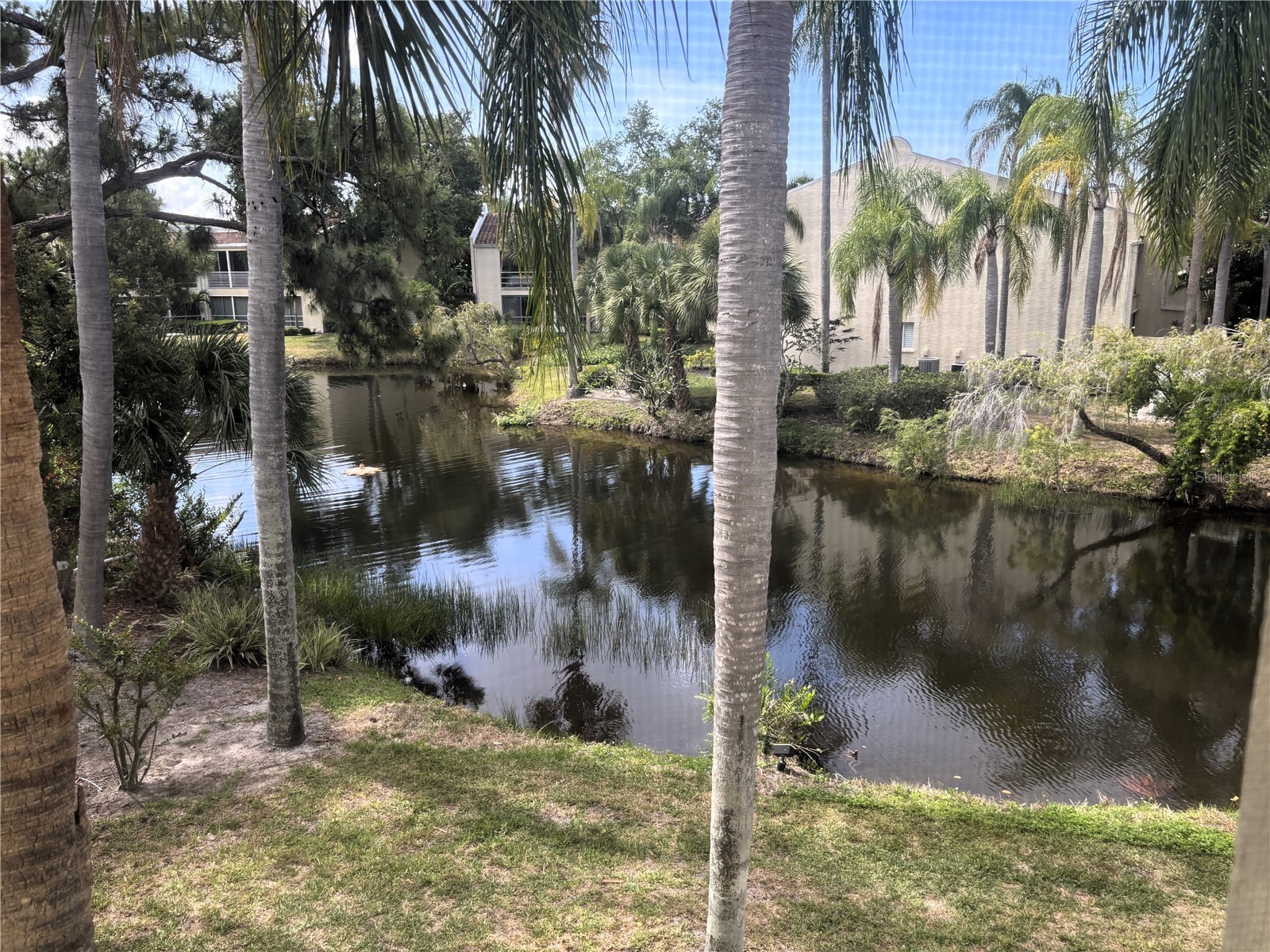 6101 34th Street W #24C Bradenton FL 34210 A4692921 image17