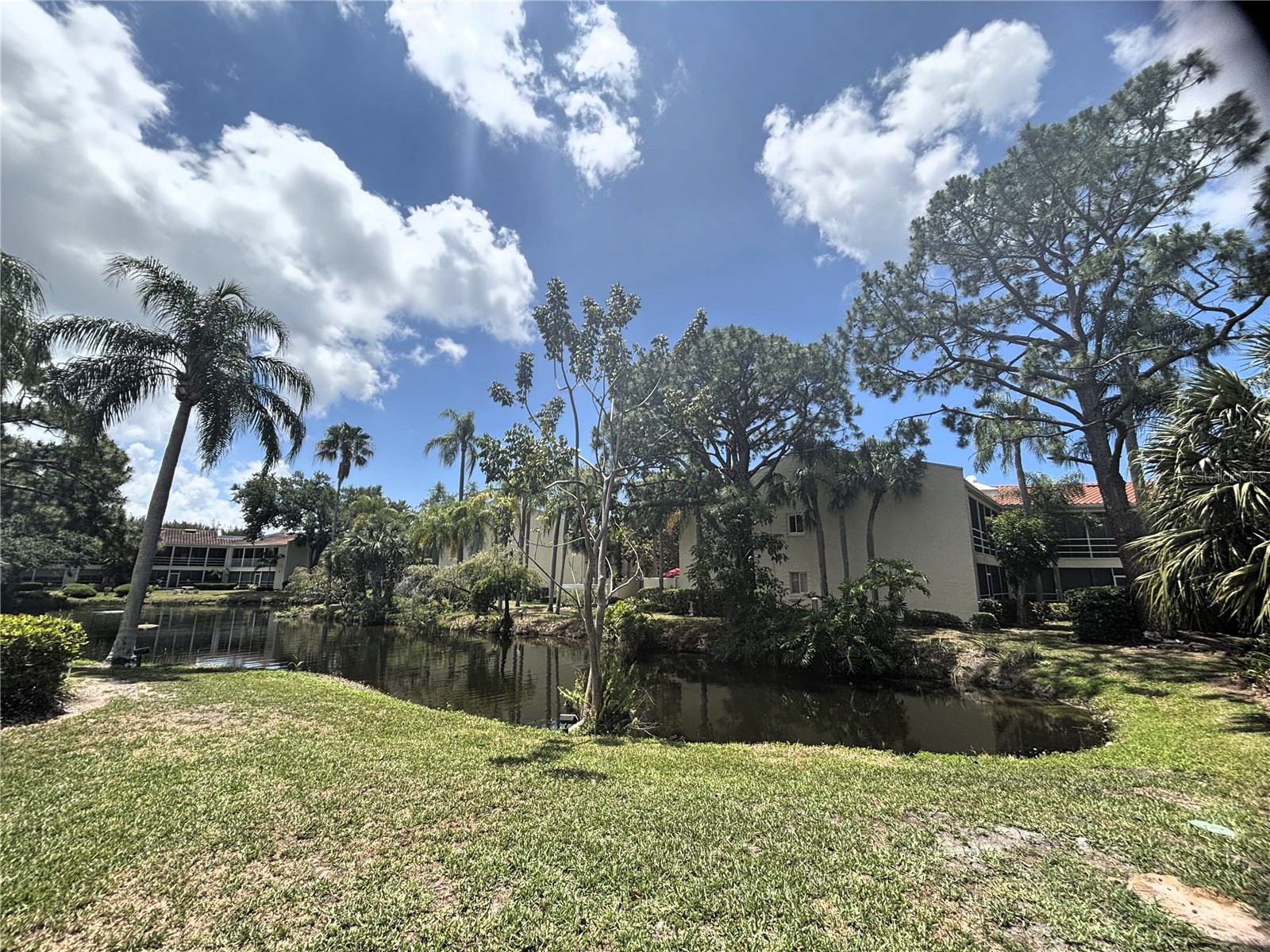 6101 34th Street W #24C Bradenton FL 34210 A4692921 image37