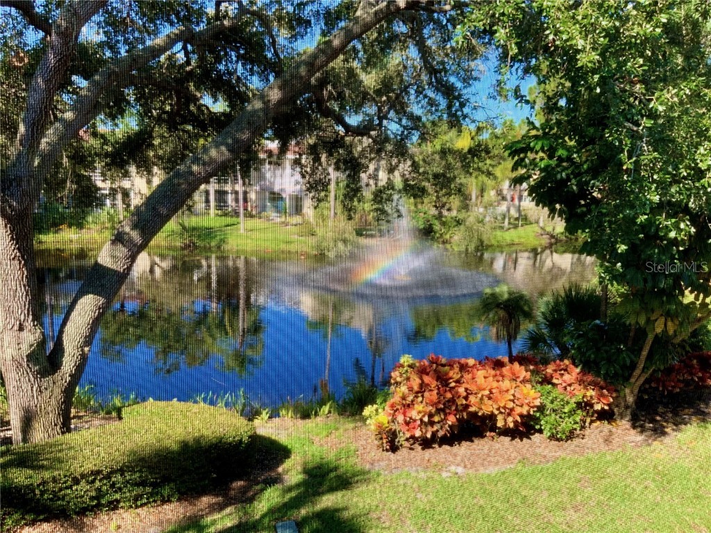 6101 34th Street W #25E Bradenton FL 34210 A4667377 image28