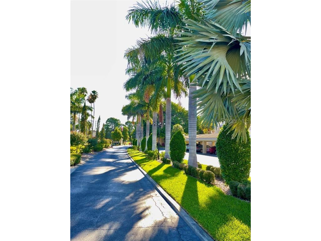 6101 34th Street W #25E Bradenton FL 34210 A4667377 image35