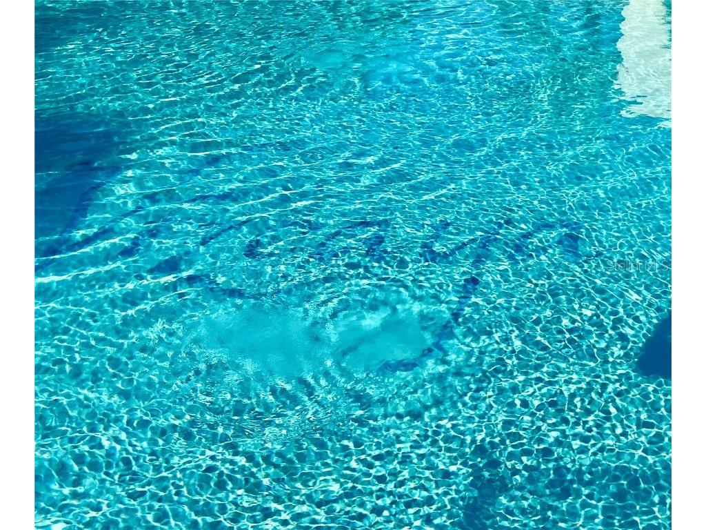 6101 34th Street W #25E Bradenton FL 34210 A4667377 image39