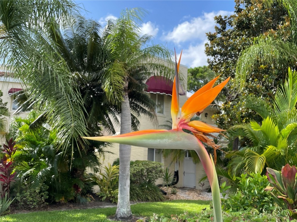 6101 34th Street W #25E Bradenton FL 34210 A4667377 image41