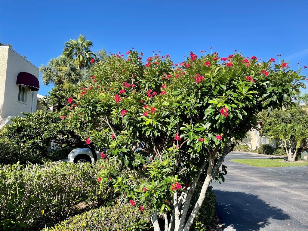 6101 34th Street W #25E Bradenton FL 34210 A4667377 image42