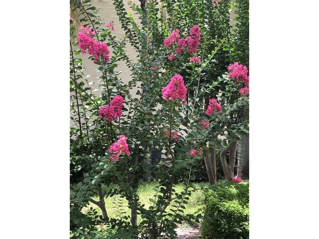 6101 34th Street W #25E Bradenton FL 34210 A4667377 image43