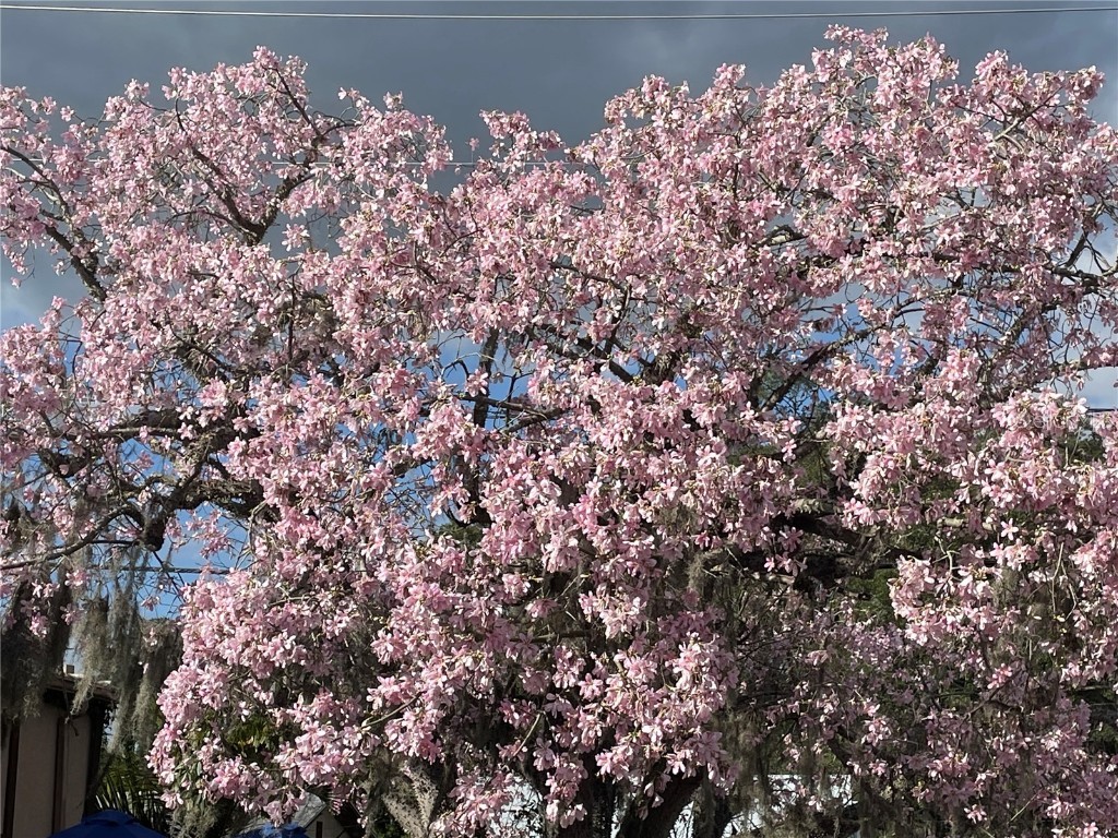 6101 34th Street W #25E Bradenton FL 34210 A4667377 image45