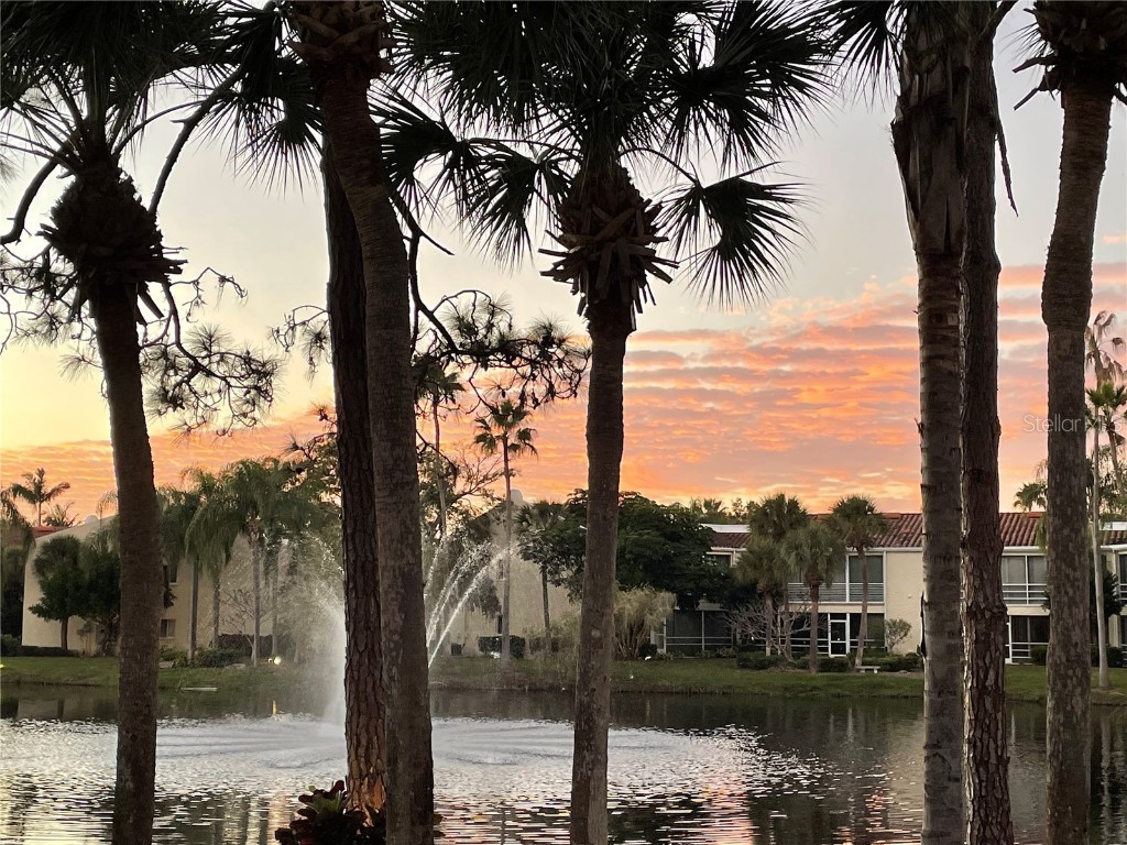 6101 34th Street W #25E Bradenton FL 34210 A4667377 image47