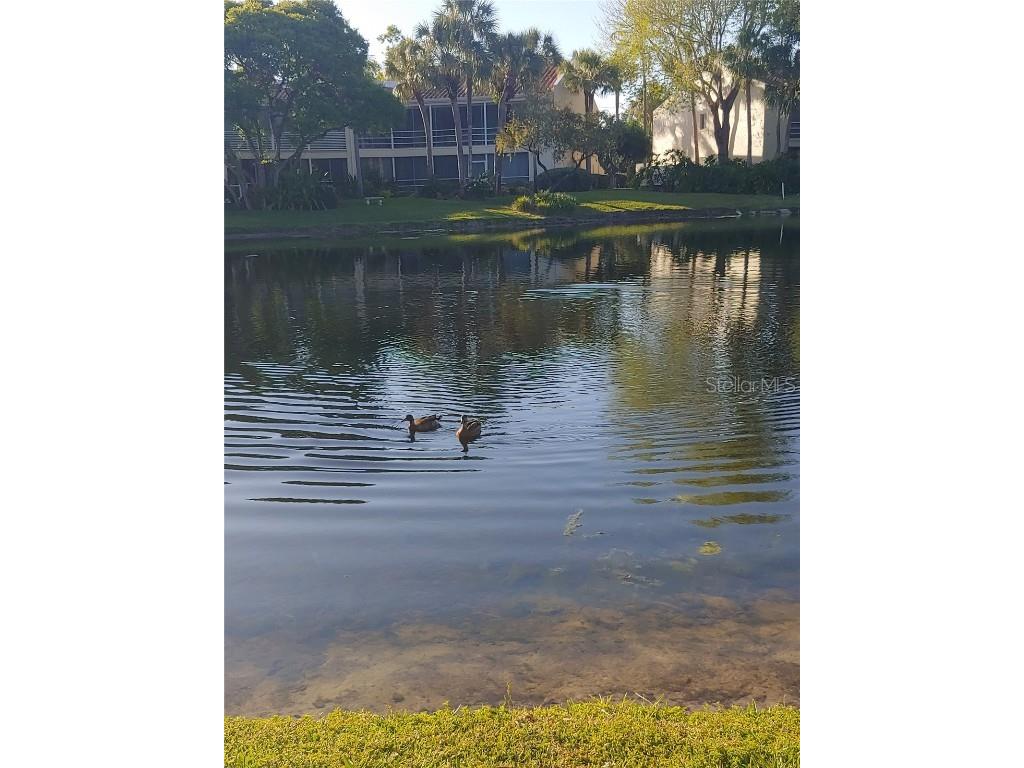 6101 34th Street W #31H Bradenton FL 34210 A4671286 image51