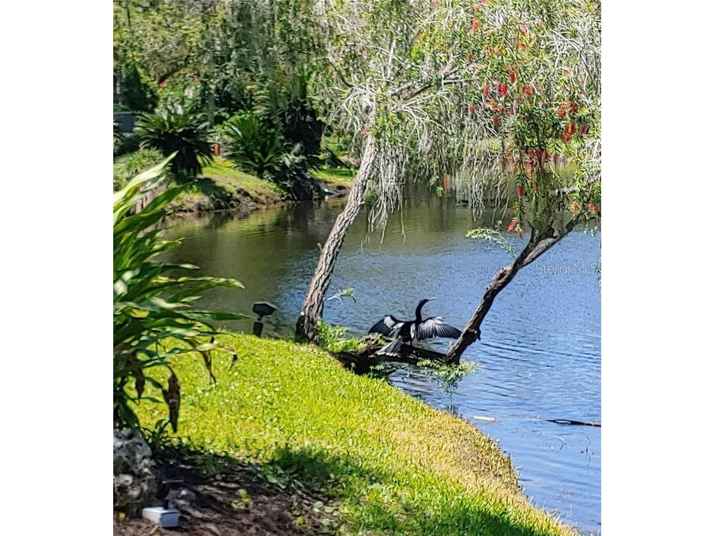 6101 34th Street W #31H Bradenton FL 34210 A4671286 image52