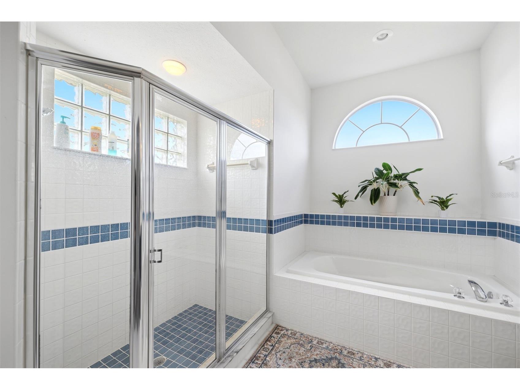 6101 Krista Drive Spring Hill FL 34609 W7885542 image17