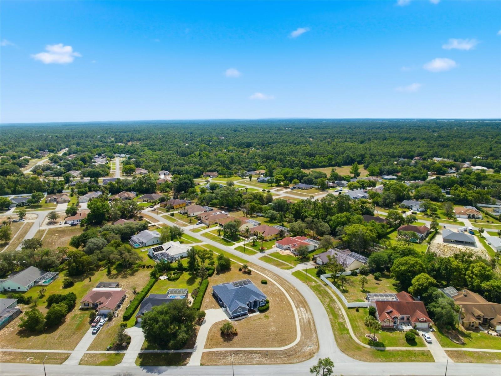 6101 Krista Drive Spring Hill FL 34609 W7885542 image41