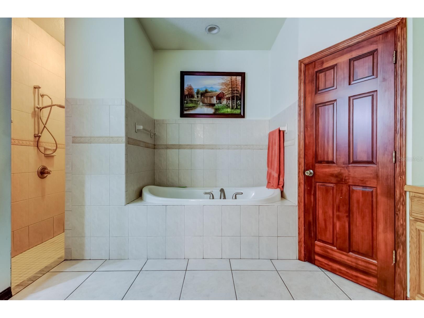 6101 S Nutshell Terrace Lecanto FL 34461 TB8470241 image27