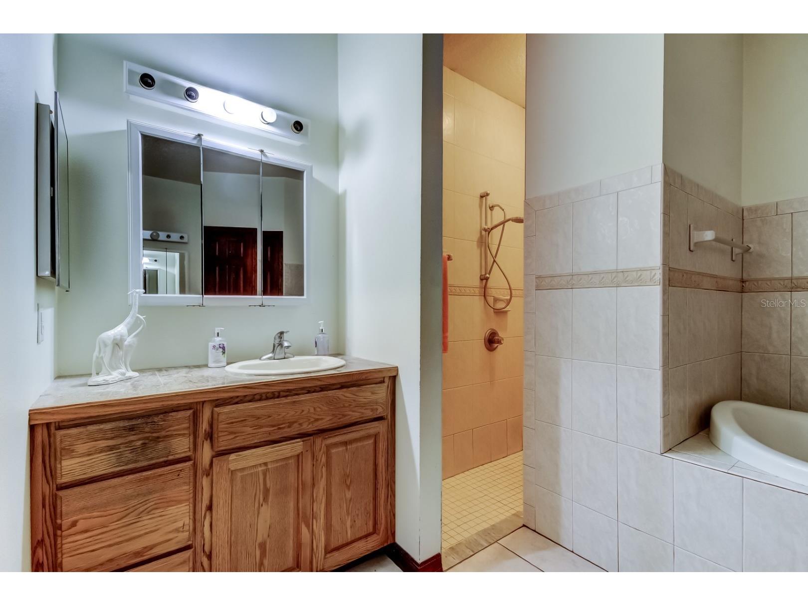 6101 S Nutshell Terrace Lecanto FL 34461 TB8470241 image28